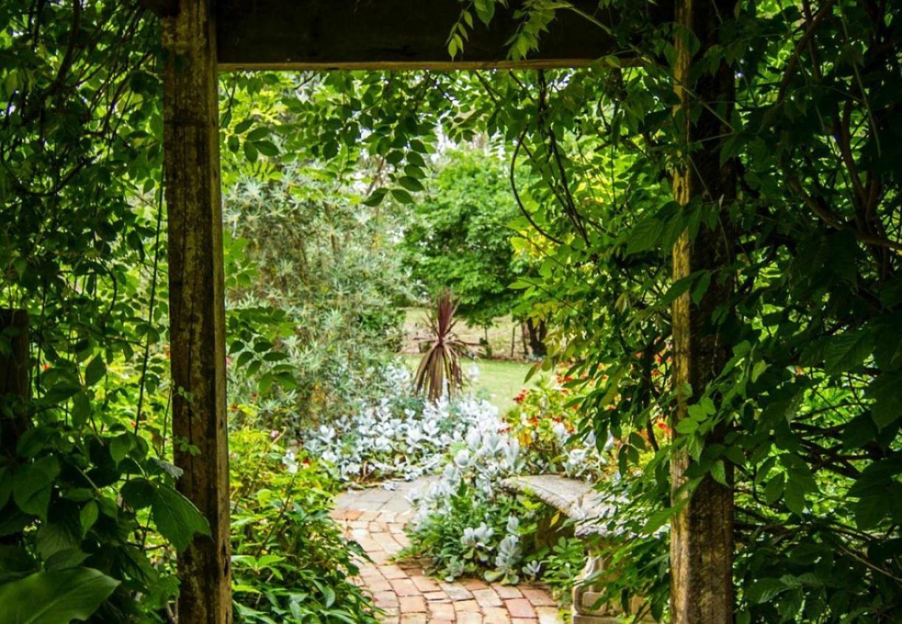 Rewild your garden