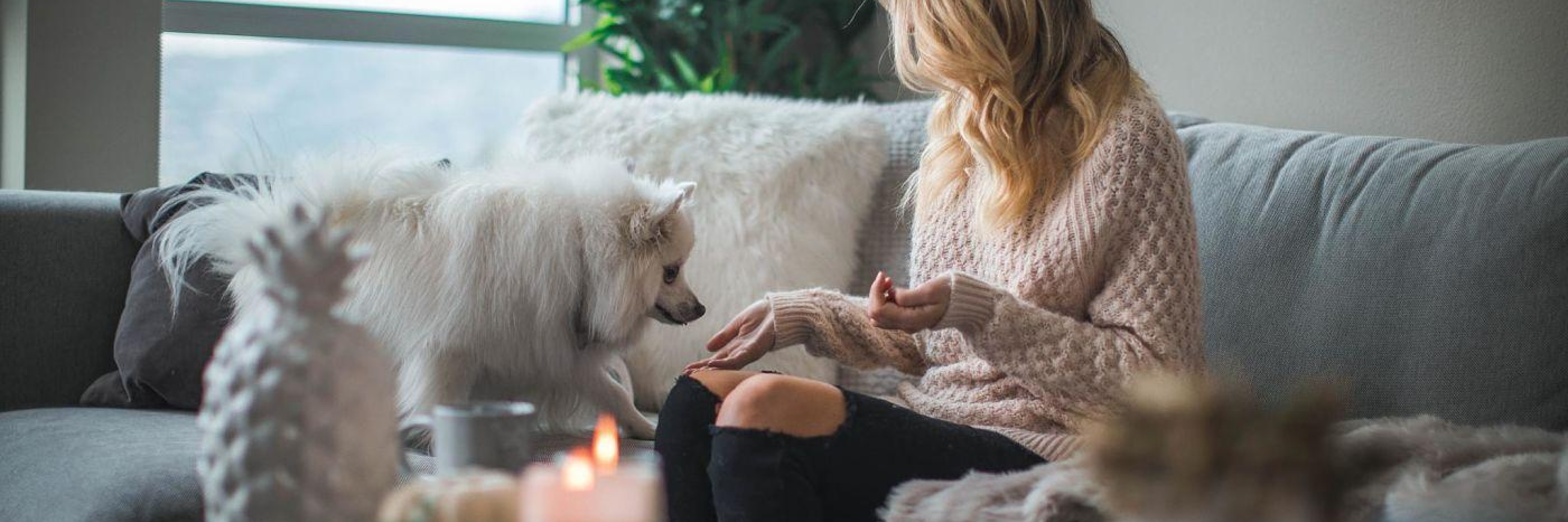 Cosy home with dog