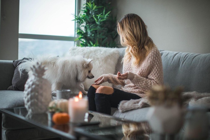 Cosy home with dog